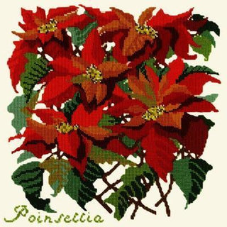 Poinsettia Needlepoint Kit Kits Elizabeth Bradley Design Winter White 
