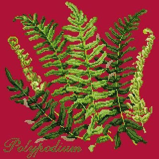 Polypodium Needlepoint Kit Kits Elizabeth Bradley Design Bright Red 
