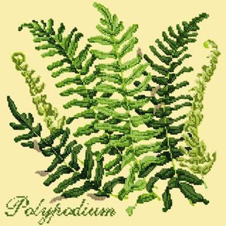 Polypodium Needlepoint Kit Kits Elizabeth Bradley Design Butter Yellow 
