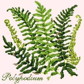 Polypodium Needlepoint Kit Kits Elizabeth Bradley Design Cream 
