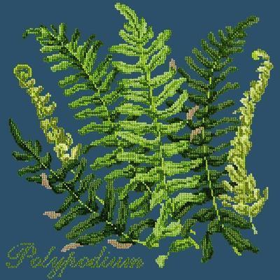 Polypodium Needlepoint Kit Kits Elizabeth Bradley Design Dark Blue 
