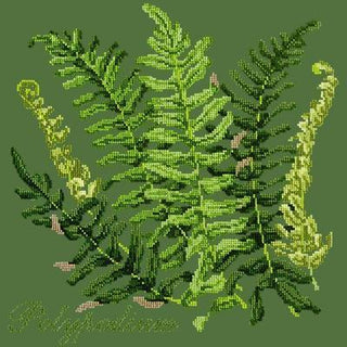 Polypodium Needlepoint Kit Kits Elizabeth Bradley Design Dark Green 
