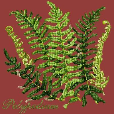 Polypodium Needlepoint Kit Kits Elizabeth Bradley Design Dark Red 
