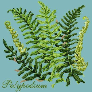 Polypodium Needlepoint Kit Kits Elizabeth Bradley Design Duck Egg Blue 

