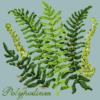 Polypodium Needlepoint Kit Kits Elizabeth Bradley Design Pale Blue 
