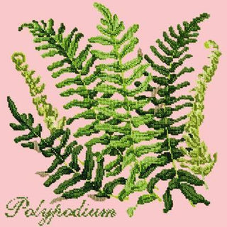 Polypodium Needlepoint Kit Kits Elizabeth Bradley Design Pale Rose 
