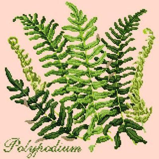 Polypodium Needlepoint Kit Kits Elizabeth Bradley Design Salmon Pink 
