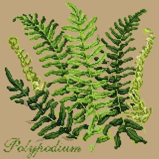 Polypodium Needlepoint Kit Kits Elizabeth Bradley Design Sand 
