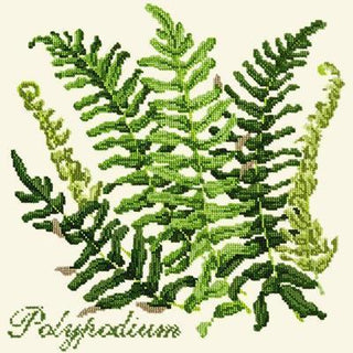 Polypodium Needlepoint Kit Kits Elizabeth Bradley Design Winter White 
