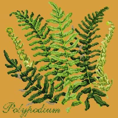 Polypodium Needlepoint Kit Kits Elizabeth Bradley Design Yellow 
