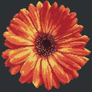 Pot Marigold Needlepoint Kit Kits Elizabeth Bradley Design Black 

