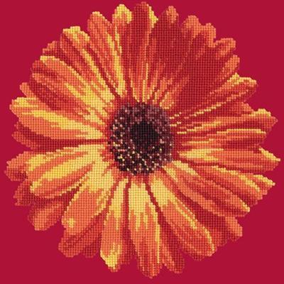 Pot Marigold Needlepoint Kit Kits Elizabeth Bradley Design Bright Red 
