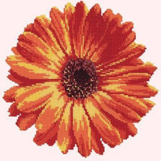 Pot Marigold Needlepoint Kit Kits Elizabeth Bradley Design Cream 
