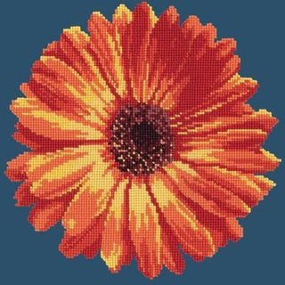 Pot Marigold Needlepoint Kit Kits Elizabeth Bradley Design Dark Blue 
