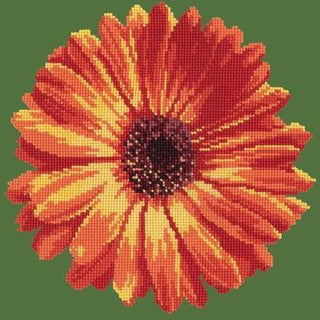 Pot Marigold Needlepoint Kit Kits Elizabeth Bradley Design Dark Green 
