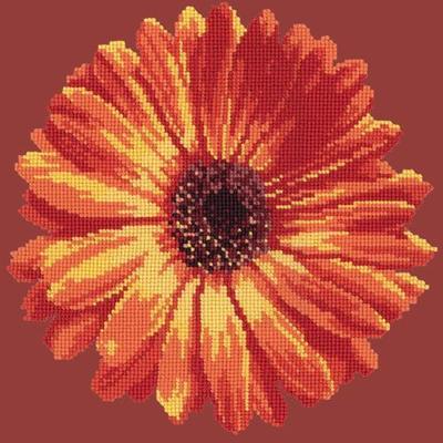 Pot Marigold Needlepoint Kit Kits Elizabeth Bradley Design Dark Red 

