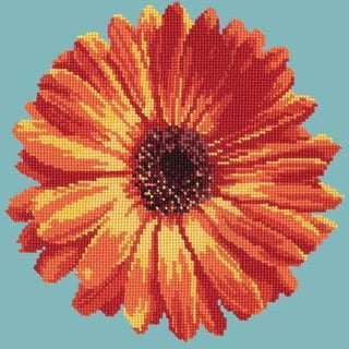 Pot Marigold Needlepoint Kit Kits Elizabeth Bradley Design Duck Egg Blue 
