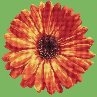 Pot Marigold Needlepoint Kit Kits Elizabeth Bradley Design Grass Green 
