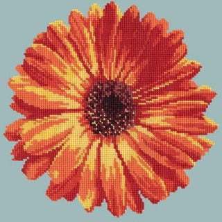 Pot Marigold Needlepoint Kit Kits Elizabeth Bradley Design Pale Blue 
