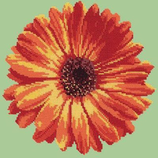 Pot Marigold Needlepoint Kit Kits Elizabeth Bradley Design Pale Green 
