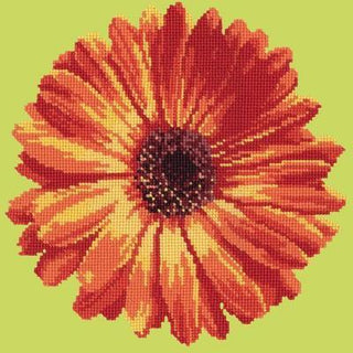 Pot Marigold Needlepoint Kit Kits Elizabeth Bradley Design Pale Lime 
