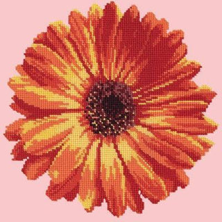 Pot Marigold Needlepoint Kit Kits Elizabeth Bradley Design Pale Rose 
