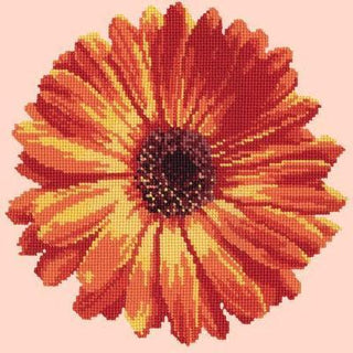 Pot Marigold Needlepoint Kit Kits Elizabeth Bradley Design Salmon Pink 
