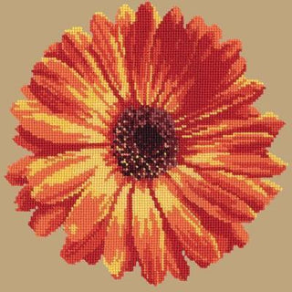 Pot Marigold Needlepoint Kit Kits Elizabeth Bradley Design Sand 
