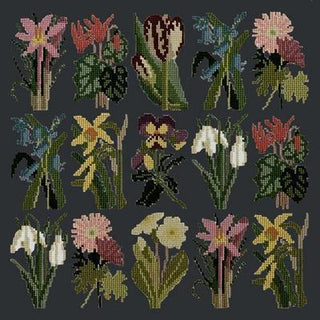 Primavera Needlepoint Kit Kits Elizabeth Bradley Design Black 
