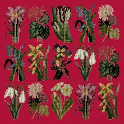 Primavera Needlepoint Kit Kits Elizabeth Bradley Design Bright Red 
