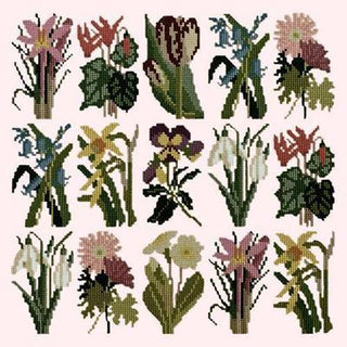 Primavera Needlepoint Kit Kits Elizabeth Bradley Design Cream 
