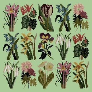 Primavera Needlepoint Kit Kits Elizabeth Bradley Design Pale Green 
