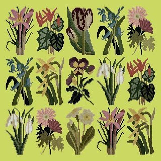 Primavera Needlepoint Kit Kits Elizabeth Bradley Design Pale Lime 
