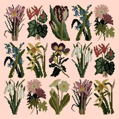 Primavera Needlepoint Kit Kits Elizabeth Bradley Design Salmon Pink 
