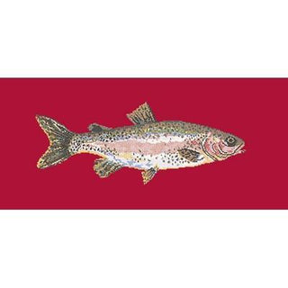 Rainbow Trout Needlepoint Kit Kits Elizabeth Bradley Design Bright Red 

