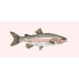 Rainbow Trout Needlepoint Kit Kits Elizabeth Bradley Design Cream 
