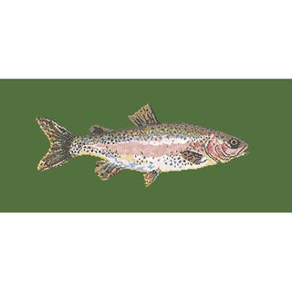 Rainbow Trout Needlepoint Kit Kits Elizabeth Bradley Design Dark Green 
