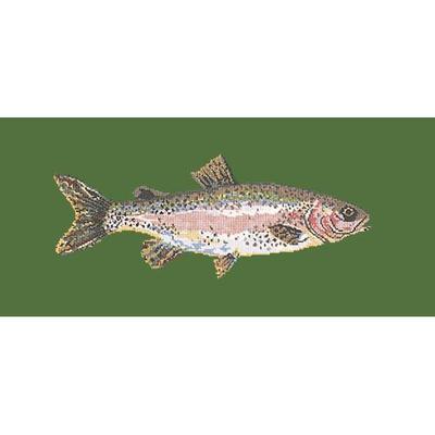 Rainbow Trout Needlepoint Kit Kits Elizabeth Bradley Design Dark Green 
