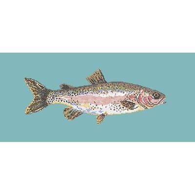 Rainbow Trout Needlepoint Kit Kits Elizabeth Bradley Design Duck Egg Blue 
