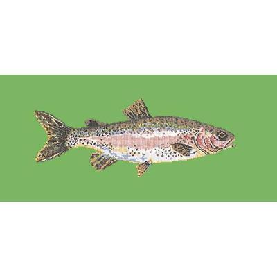 Rainbow Trout Needlepoint Kit Kits Elizabeth Bradley Design Grass Green 
