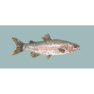Rainbow Trout Needlepoint Kit Kits Elizabeth Bradley Design Pale Blue 
