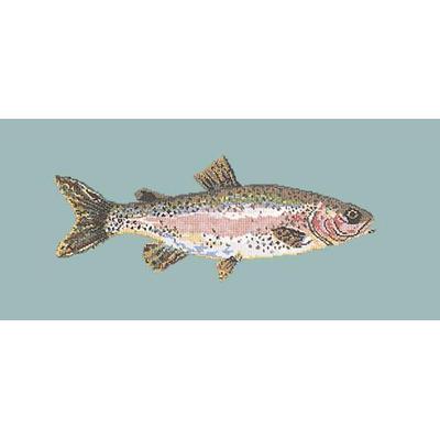 Rainbow Trout Needlepoint Kit Kits Elizabeth Bradley Design Pale Blue 
