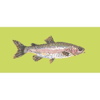 Rainbow Trout Needlepoint Kit Kits Elizabeth Bradley Design Pale Lime 
