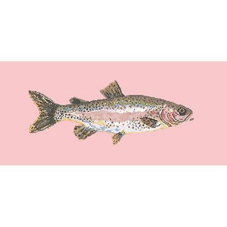 Rainbow Trout Needlepoint Kit Kits Elizabeth Bradley Design Pale Rose 
