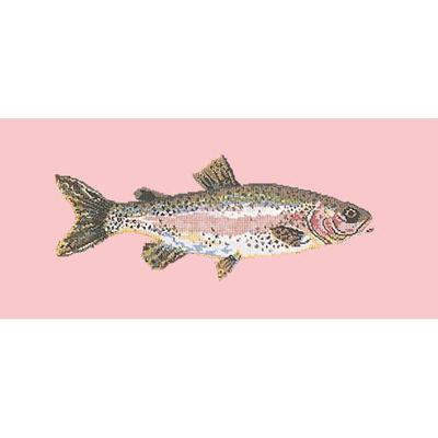 Rainbow Trout Needlepoint Kit Kits Elizabeth Bradley Design Pale Rose 
