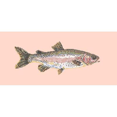Rainbow Trout Needlepoint Kit Kits Elizabeth Bradley Design Salmon Pink 
