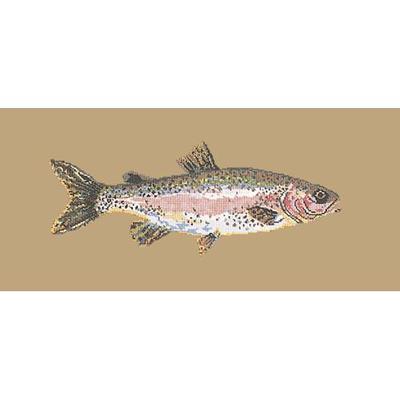 Rainbow Trout Needlepoint Kit Kits Elizabeth Bradley Design Sand 
