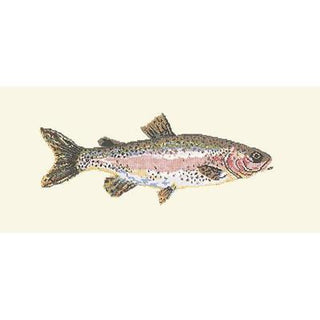 Rainbow Trout Needlepoint Kit Kits Elizabeth Bradley Design Winter White 
