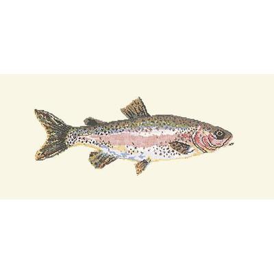Rainbow Trout Needlepoint Kit Kits Elizabeth Bradley Design Winter White 
