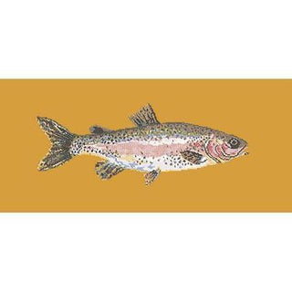 Rainbow Trout Needlepoint Kit Kits Elizabeth Bradley Design Yellow 
